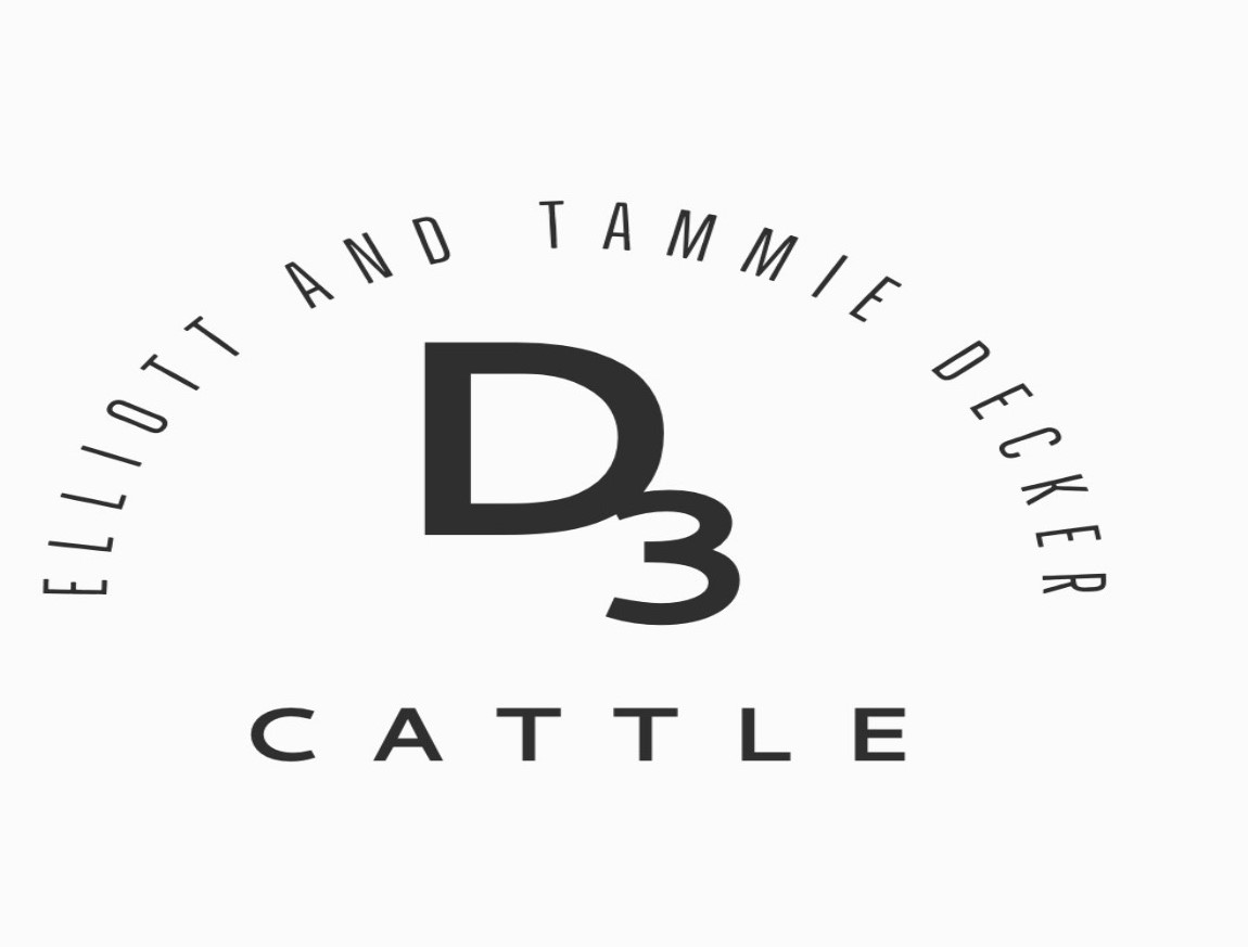 D3